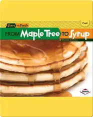 From Maple Tree to Syrup