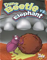 Dung Beetle vs. Elephant
