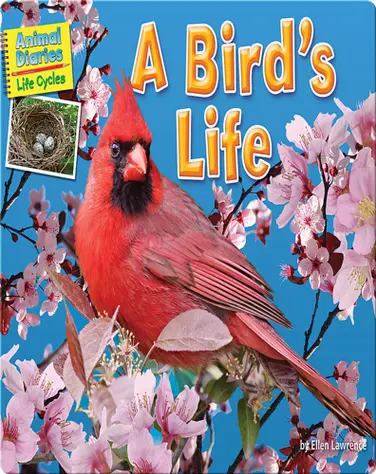 A Bird's Life book