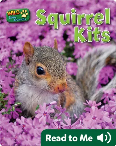Squirrel Kits book