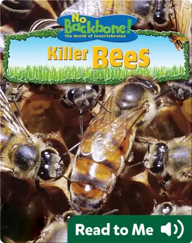 Killer Bees book