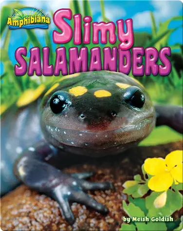 Slimy Salamanders book