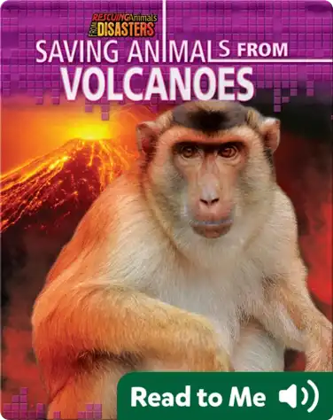 Saving Animals from Volcanoes book