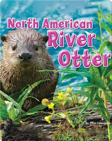 North American River Otter book