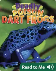 Deadly Poison Dart Frogs