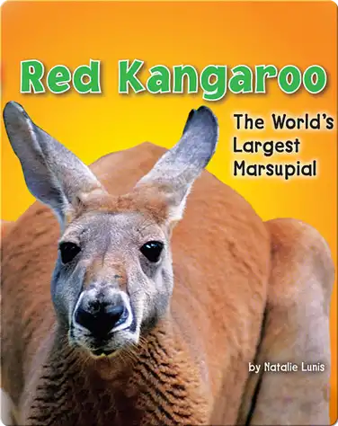 Red Kangaroo: The World's Largest Marsupial book