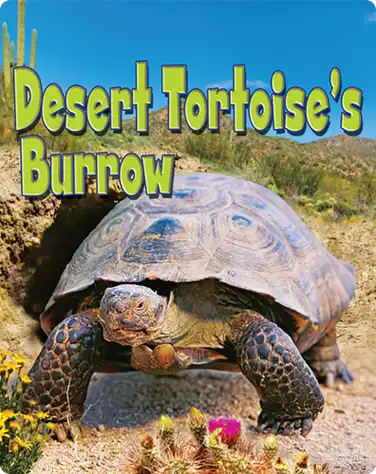 Desert Tortoise's Burrow book