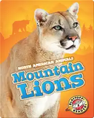 Mountain Lions