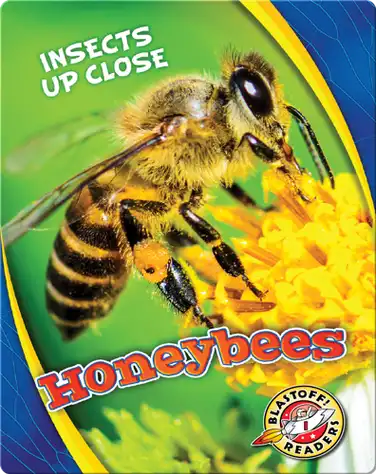 Honeybees book