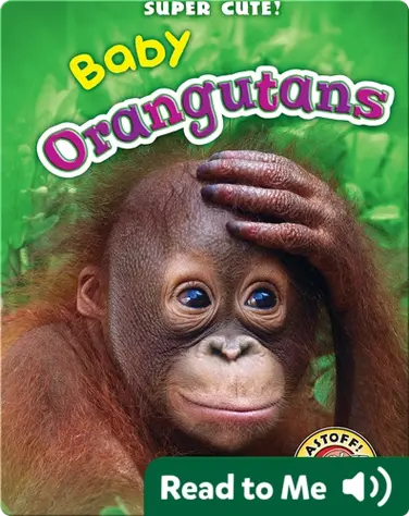 Super Cute! Baby Orangutans book