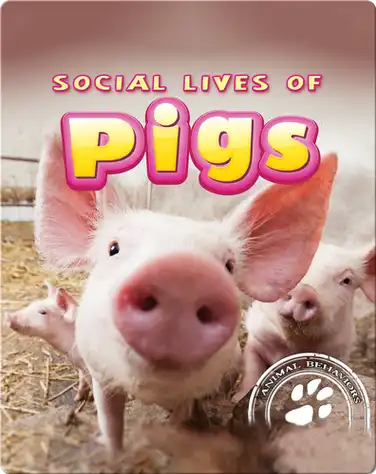 Social Lives of Pigs book