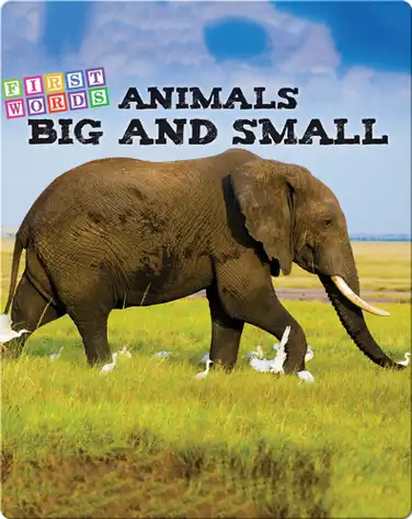 Animals Big and Little book