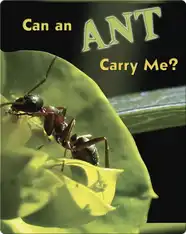 Can an Ant Carry Me? (BBB)