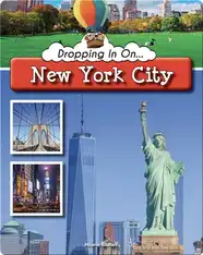 Dropping In On New York City
