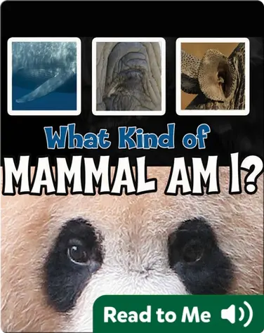 What Kind of Mammal Am I? book