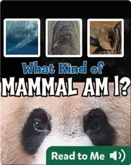 What Kind of Mammal Am I?
