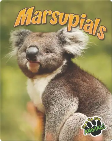 Marsupials book