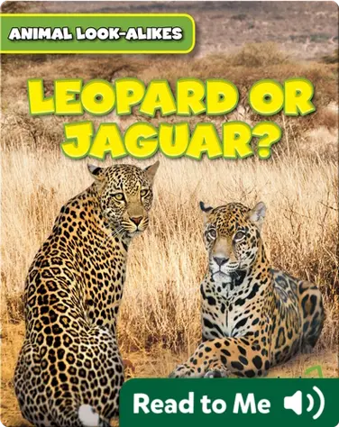 Leopard or Jaguar? book