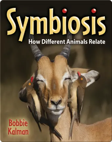 Symbiosis: How Different Animals Relate book