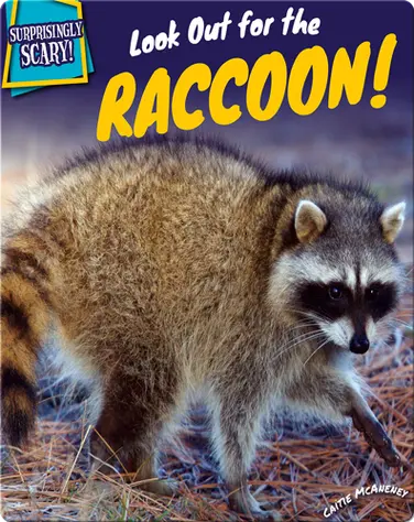 Look Out for the Raccoon! book