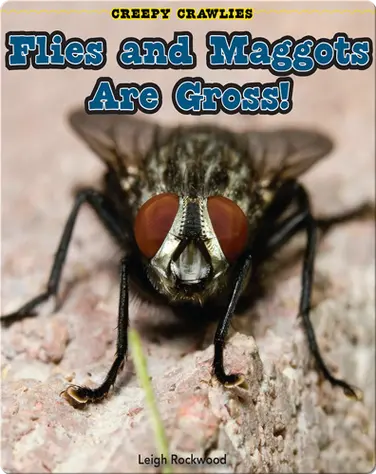Flies and Maggots Are Gross! book