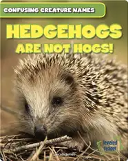 Hedgehogs Are Not Hogs!