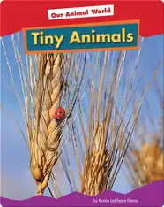 Tiny Animals