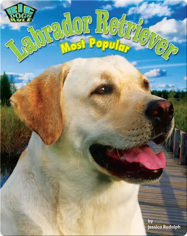 Labrador Retriever: Most Popular book