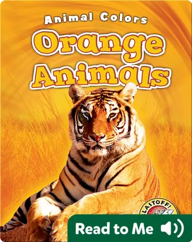 Orange Animals book