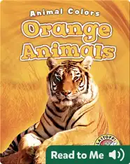 Orange Animals
