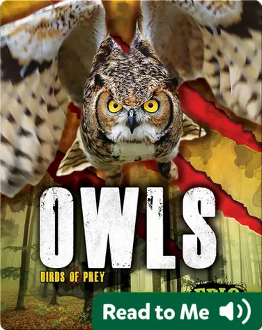 Owls book