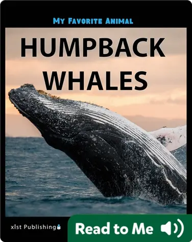 My Favorite Animal: Humpback Whales book
