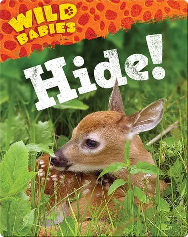 Hide! book