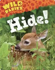 Hide!