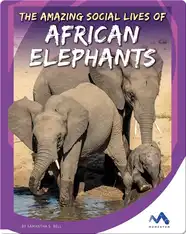 The Amazing Social Lives of African Elephants
