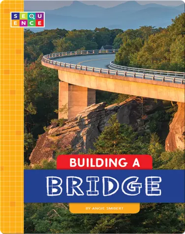 Building a Bridge book