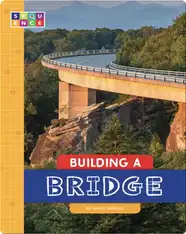 Building a Bridge