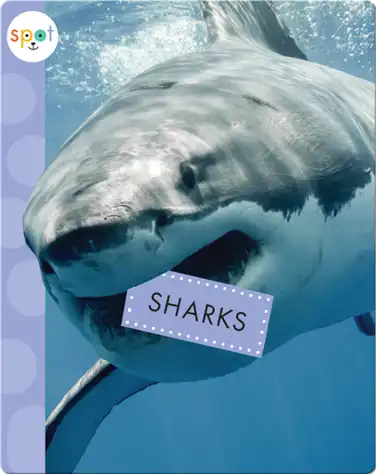 Sharks book