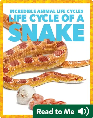 Life Cycle of a Snake book