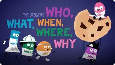 Who, What, When, Where, Why book