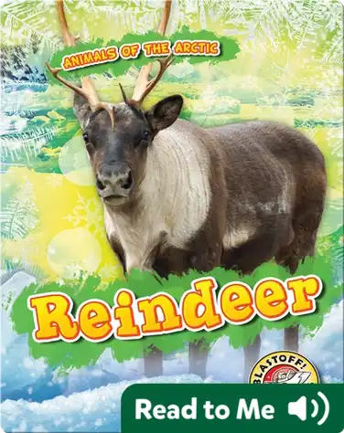 Reindeer book