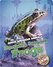 Northern Leopard Frogs