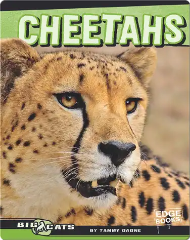 Cheetahs book