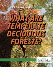 What Are Temperate Deciduous Forests?