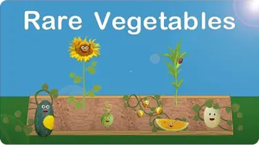 Rare Fruits and Vegetables Song book