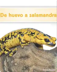 De huevo a salamandra