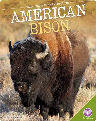 American Bison book