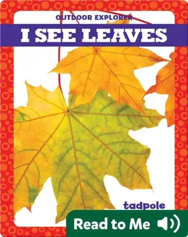 I See Leaves book