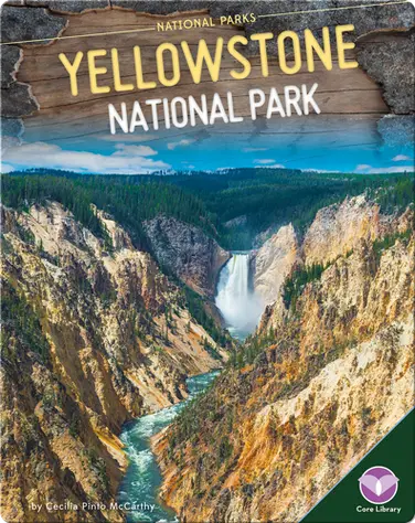 Yellowstone National Park book