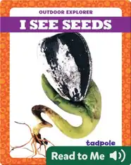 I See Seeds